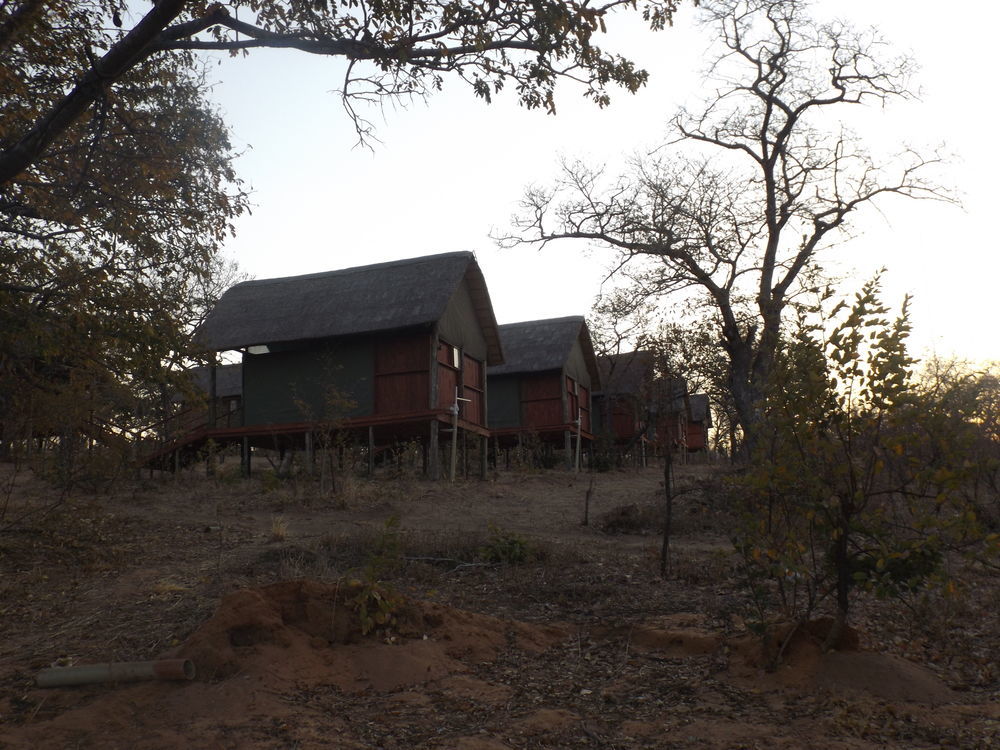 Lion Roars Lodge Lesoma المظهر الخارجي الصورة