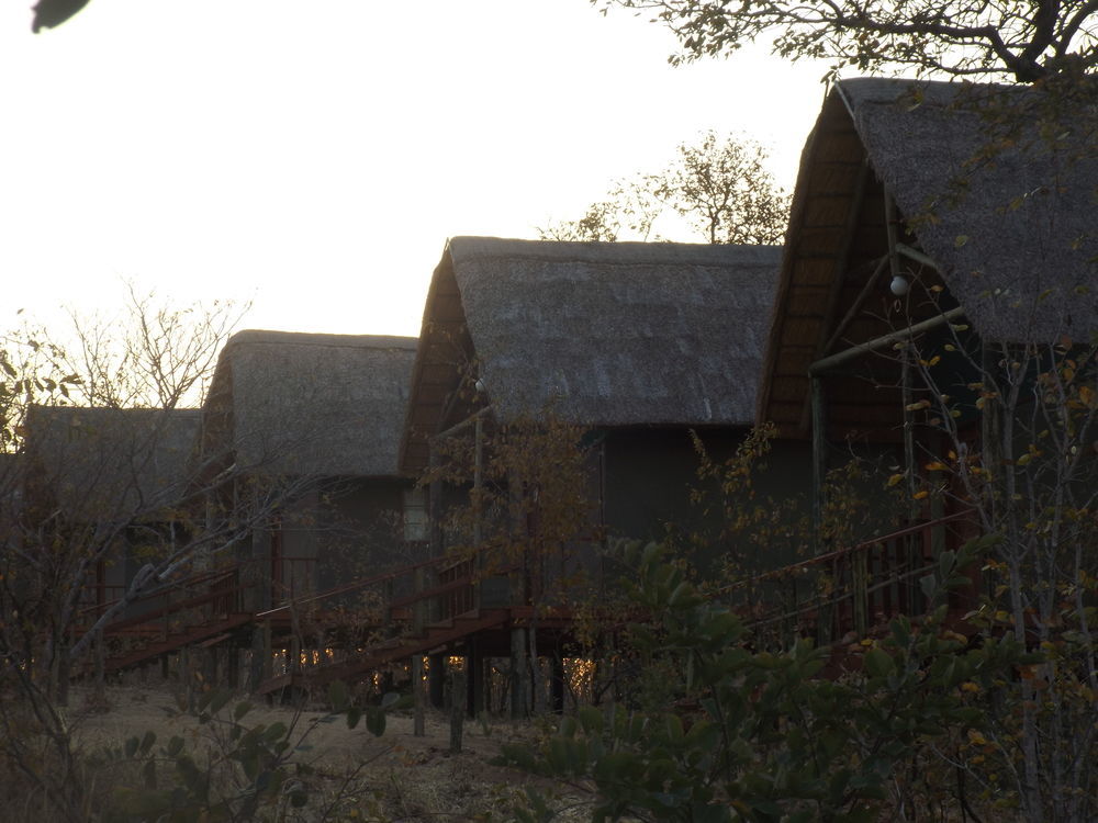 Lion Roars Lodge Lesoma المظهر الخارجي الصورة
