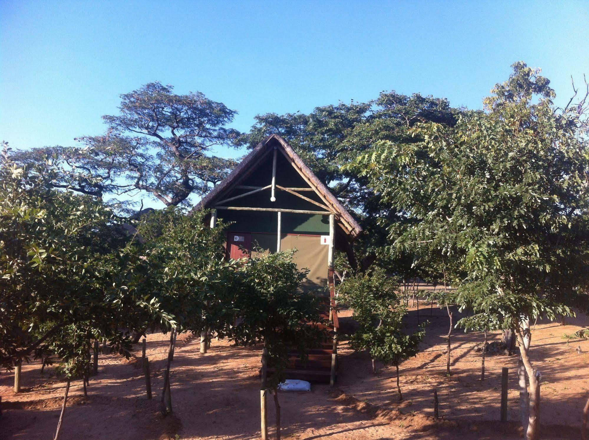 Lion Roars Lodge Lesoma المظهر الخارجي الصورة