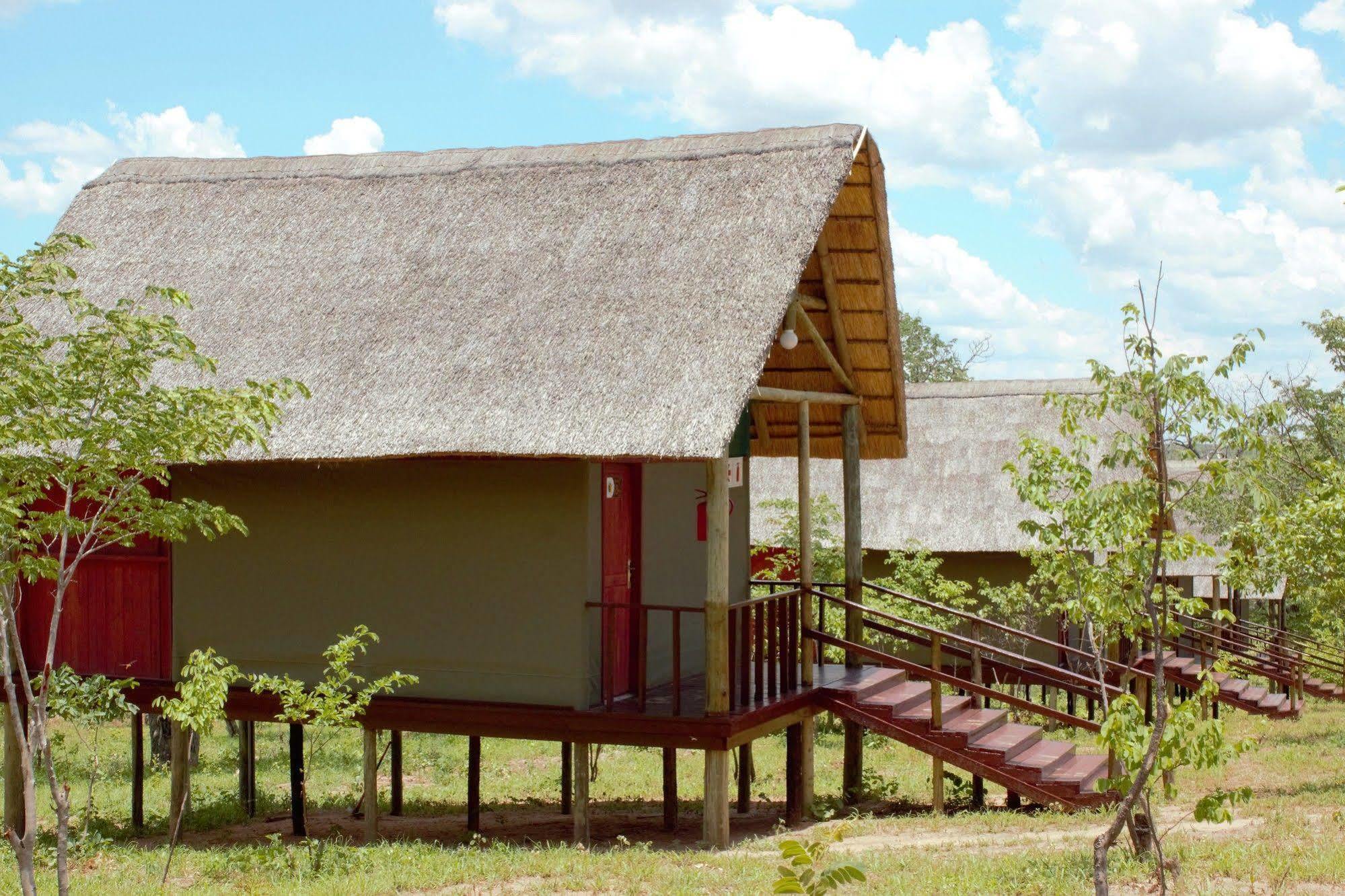 Lion Roars Lodge Lesoma المظهر الخارجي الصورة