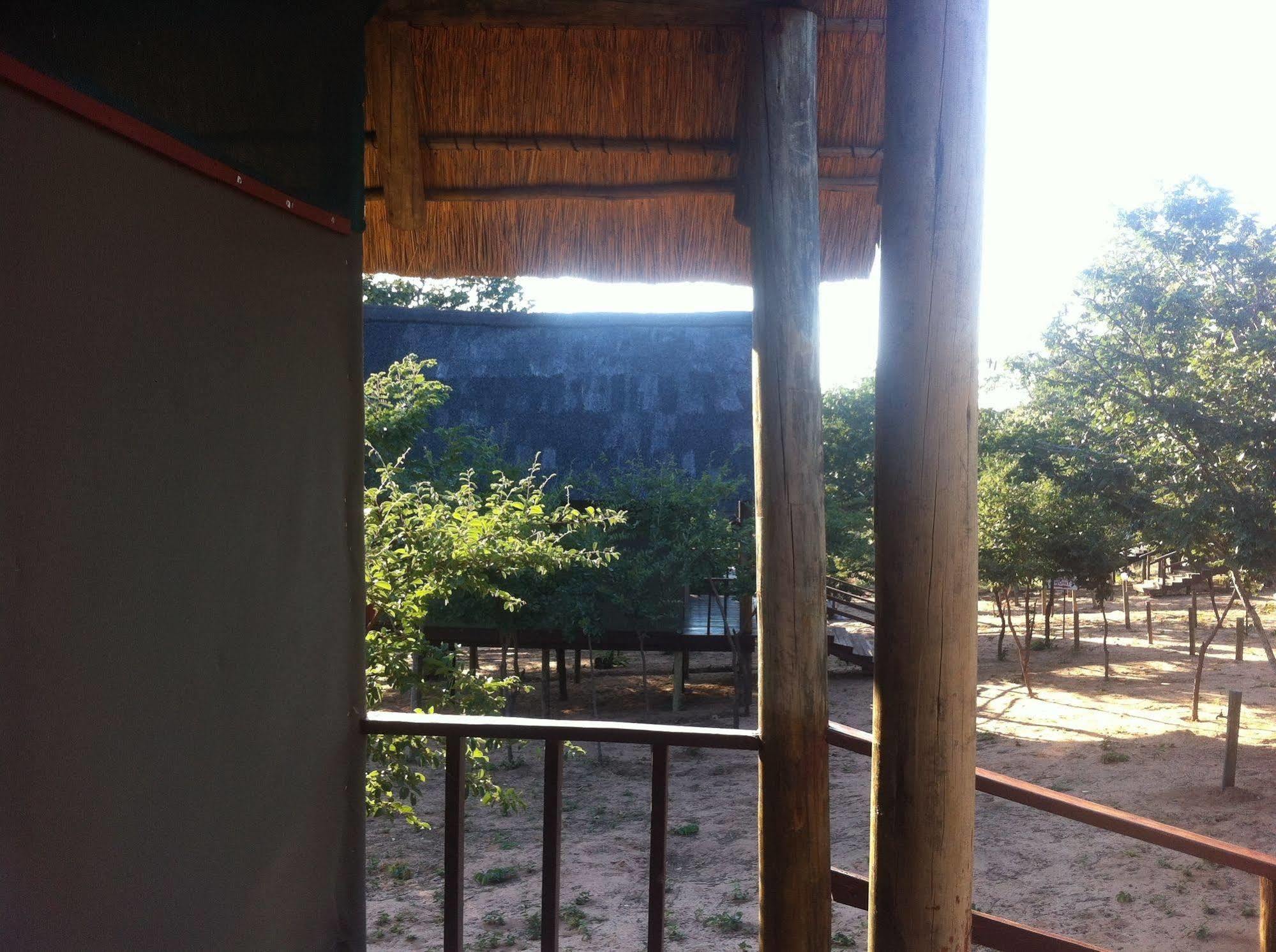 Lion Roars Lodge Lesoma المظهر الخارجي الصورة