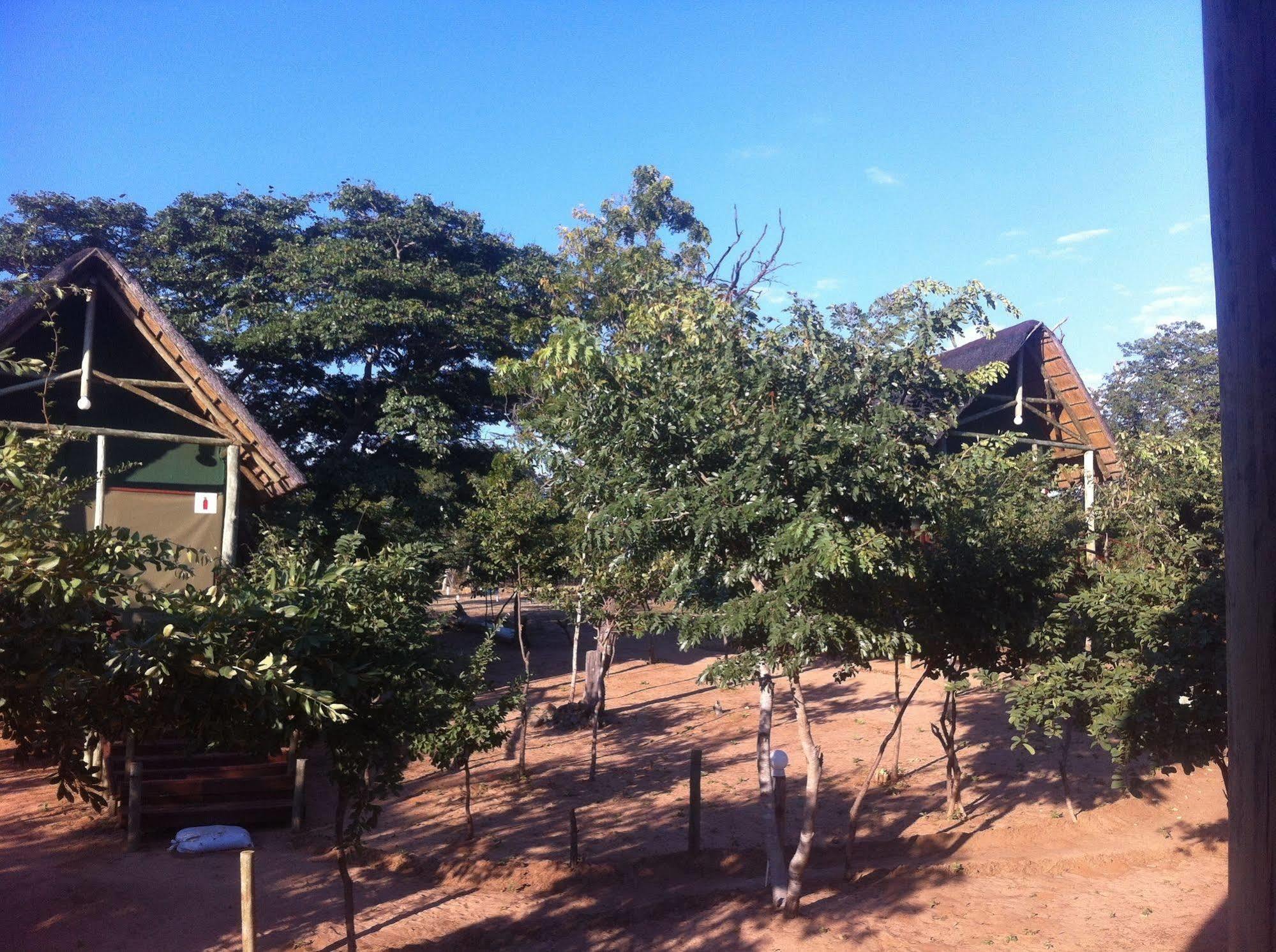 Lion Roars Lodge Lesoma المظهر الخارجي الصورة