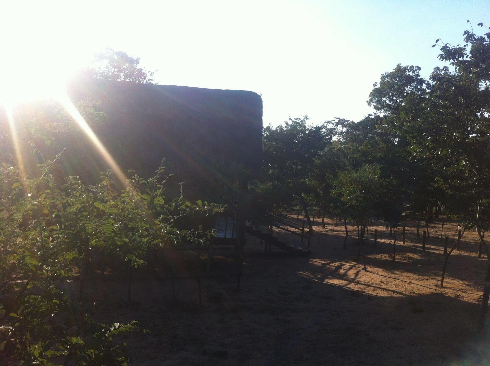 Lion Roars Lodge Lesoma المظهر الخارجي الصورة