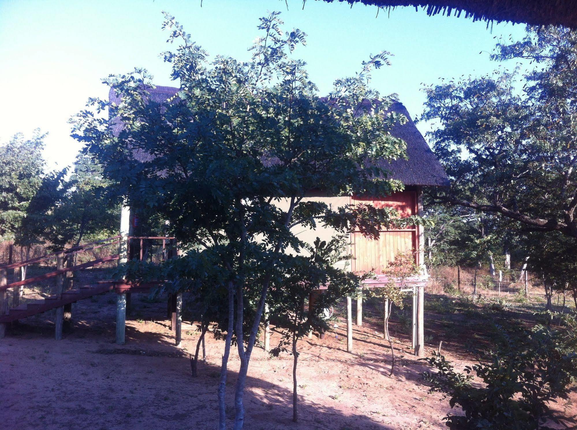 Lion Roars Lodge Lesoma المظهر الخارجي الصورة
