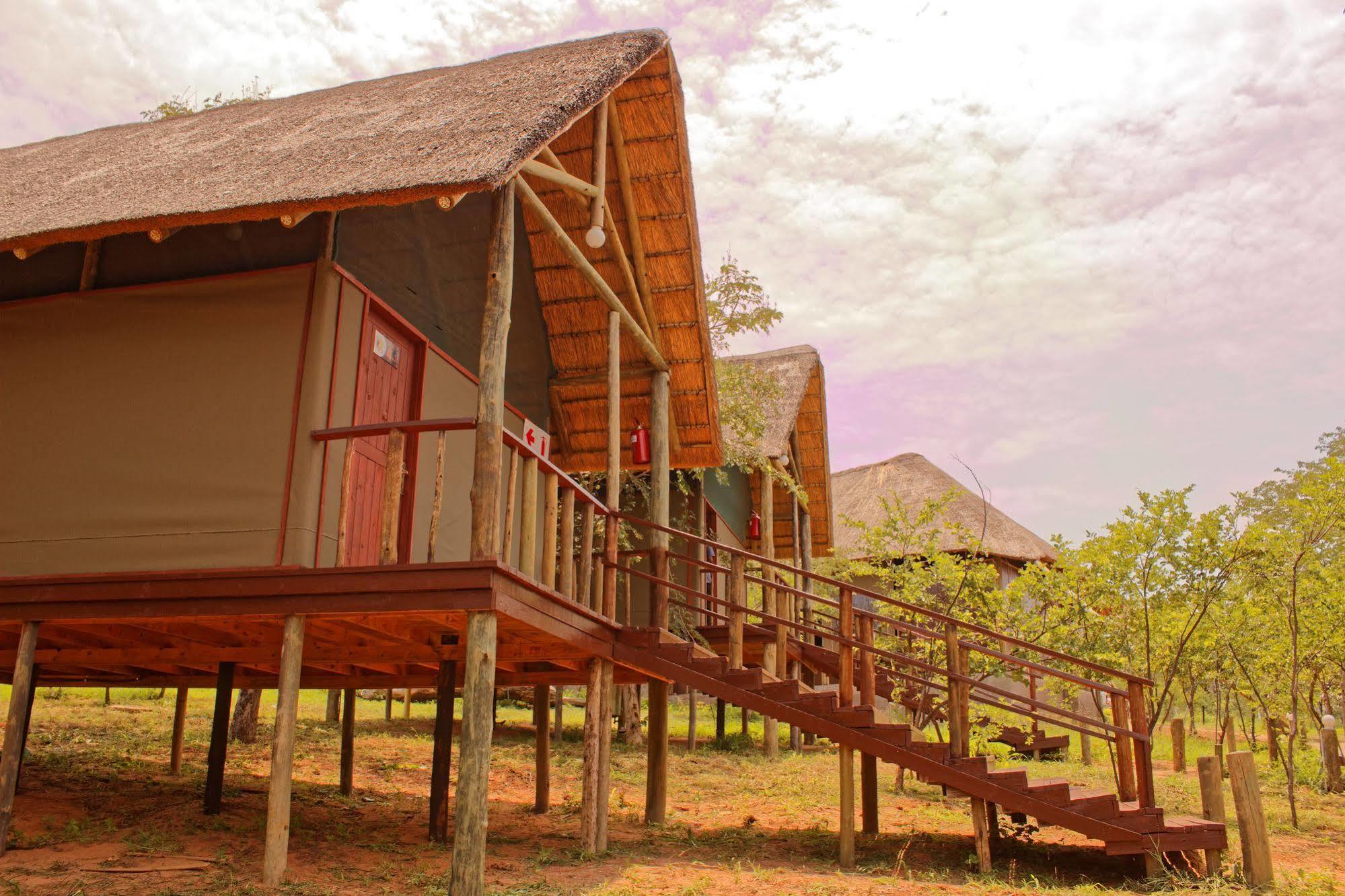 Lion Roars Lodge Lesoma المظهر الخارجي الصورة