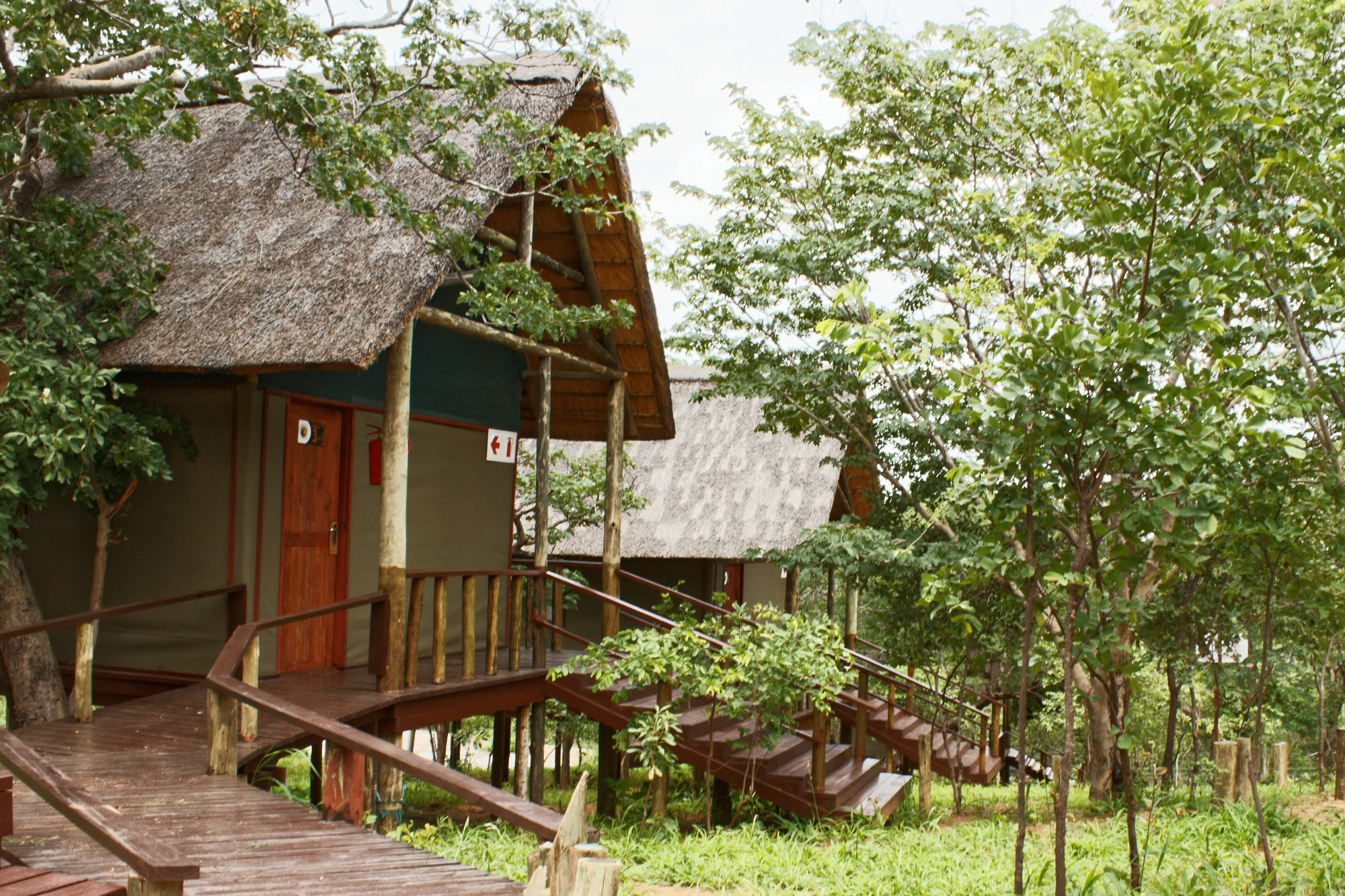 Lion Roars Lodge Lesoma المظهر الخارجي الصورة